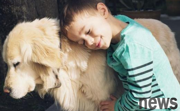 Must-read for dog owners: Dog deworming strategies