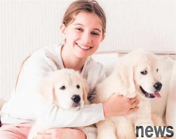 It is best to keep two dogs? Why is it better to have two dogs