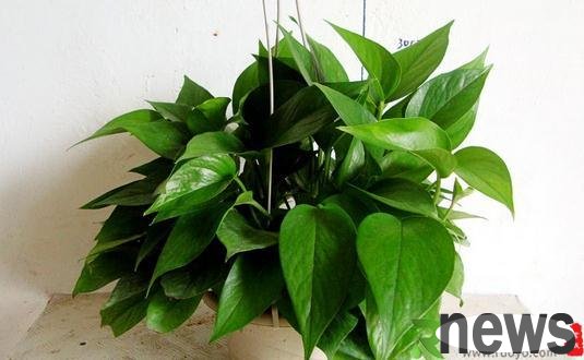 A clever way to prevent moisture at home