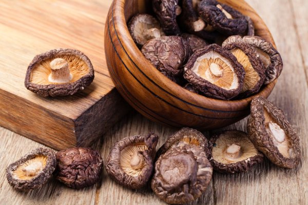 Just buy mushrooms and put them in the refrigerator home? Expert tutor 