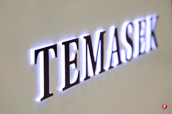Temasek s sustainable development-related investment reached 46 billion yuan, an increase of 4.5% year-on-year