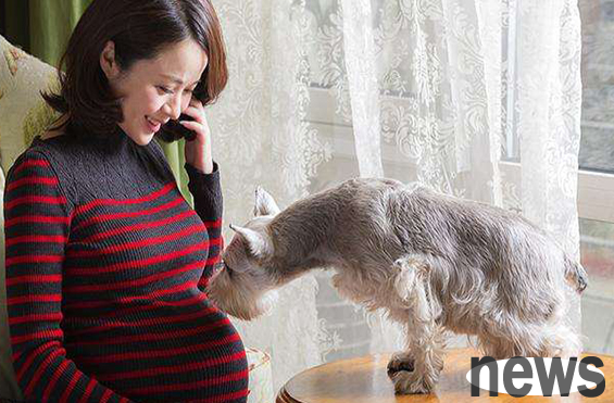 Can I keep a pet when I am pregnant?