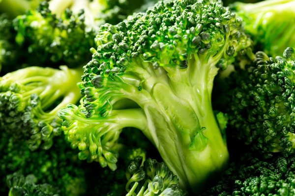 What should I do with my brain fog? The doctor teaches 7 major brain-protecting foods to make you more and more intelligent as you get older, and 