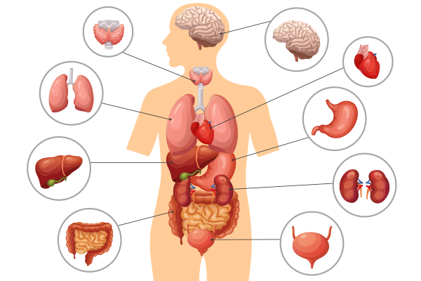What exactly is functional medicine? Does functional medicine belong to regular medicine?