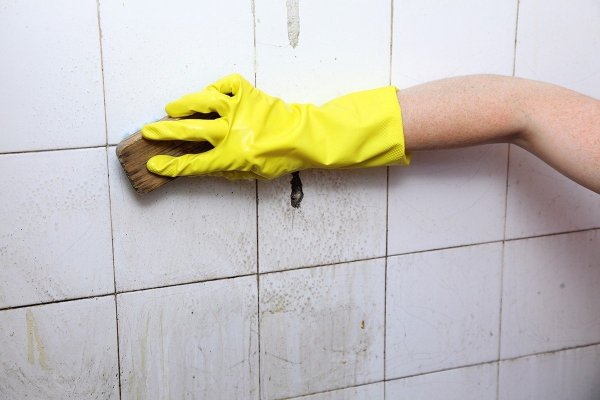 Is there endless mold removal in the bathroom? The 3 tricks of the sausage Dunci Education can easily eliminate the mold and fungus army!