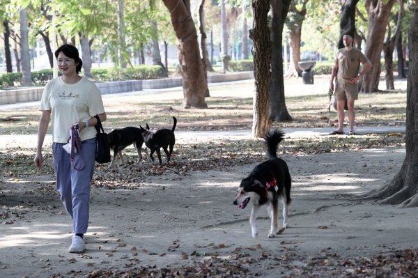Walking can improve dementia, cancer, and diabetes! Medical reminder that 