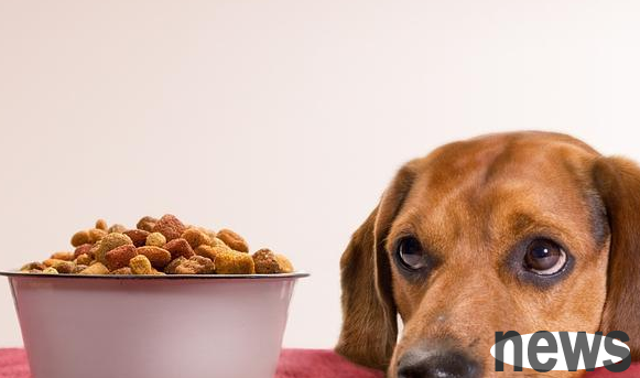 What should I do if my dog ​​eats preservatives? Here is the solution~