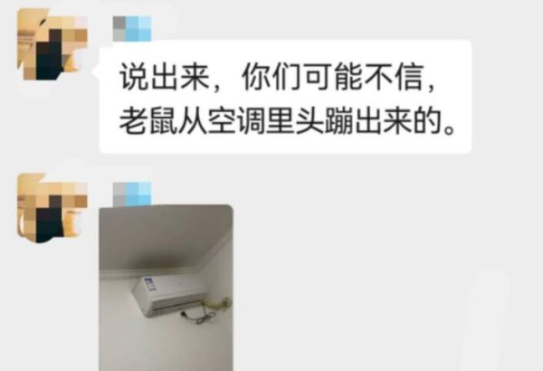 Someone in the group of owners wants to borrow a cat. Let’s see what’s going on.