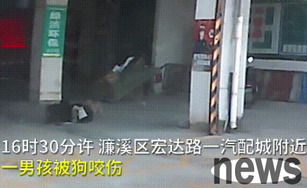 The black dog dragged the boy down and bit him. The wound was the size of a coin: 