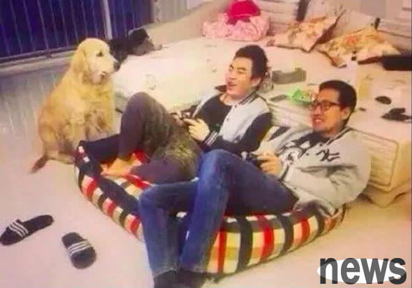 The little brother was sitting on the doghouse playing games. The golden retriever looked at him with a look of disdain: No wonder you have always been single.