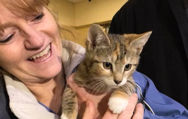 There is such a person! Woman has kittens stolen from Massachusetts adoption center